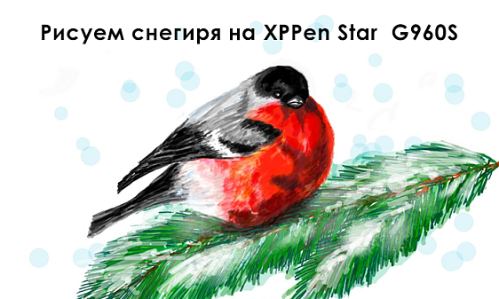 Рисуем снегиря на XPPen Star G960S